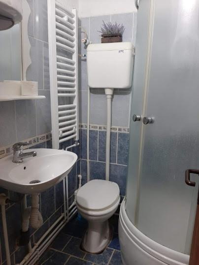 Privatni Smestaj Dobri Dobrosin Exterior photo